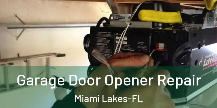  Garage Door Opener Repair Miami Lakes-FL