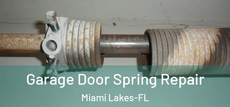  Garage Door Spring Repair Miami Lakes-FL